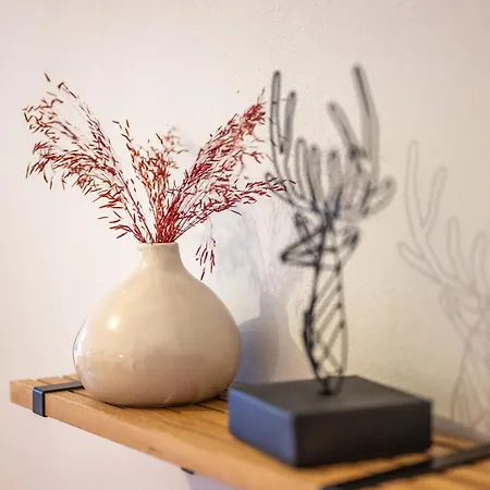 Suedstadt-oase 1 Komfort Mit 2 Sz Und Balkon Апартаменты Кобленц